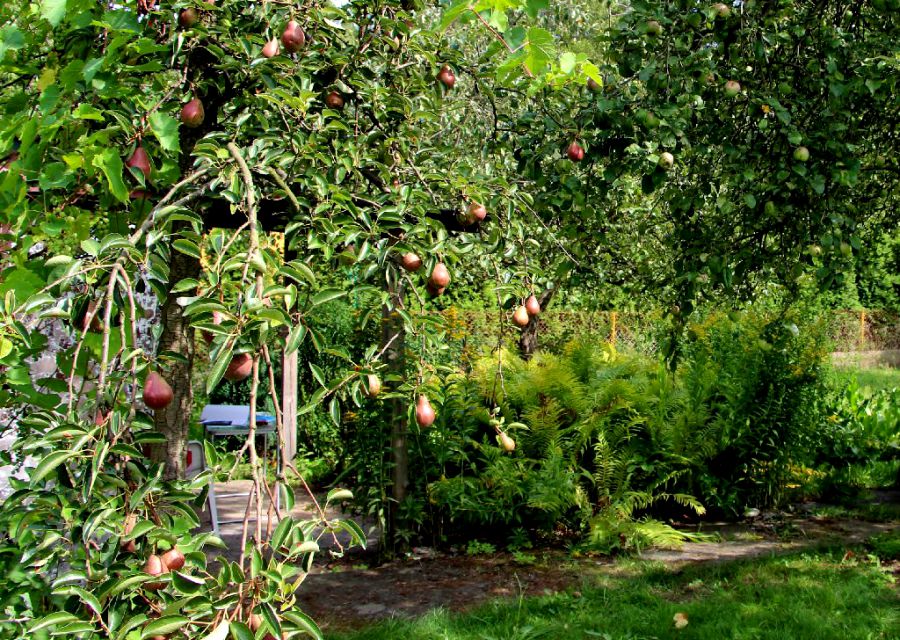 Ogrodzona działka sprzedam