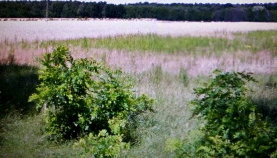 Działka budowlana Esterpole