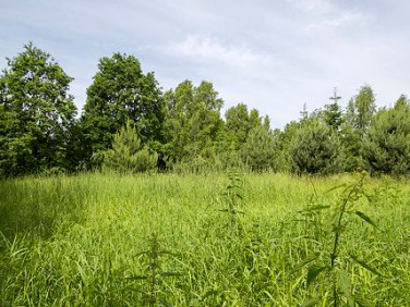 Działka budowlana Sulejówek