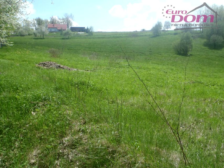 Działka Dziećmorowice