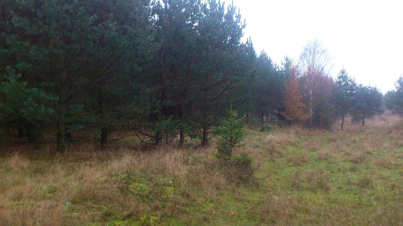 Działka budowlana Sopieszyno sprzedam