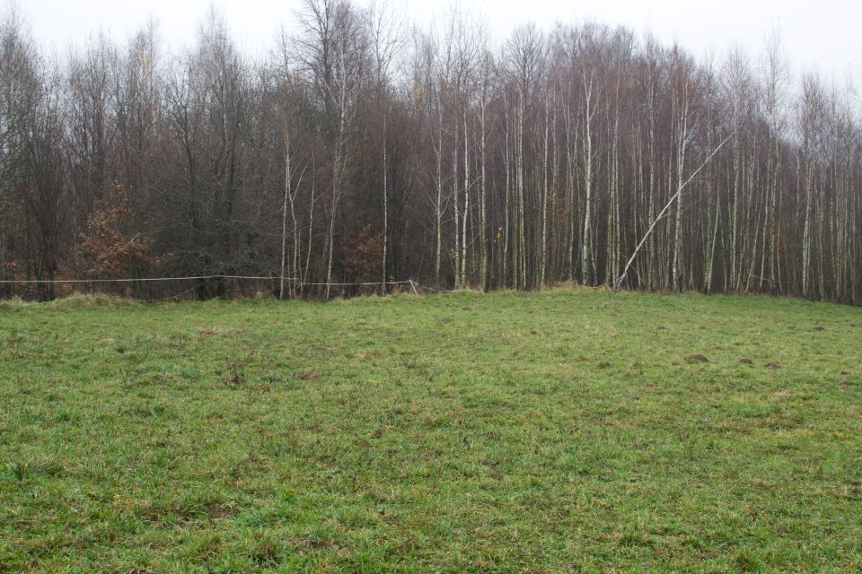 Działka budowlana Brody