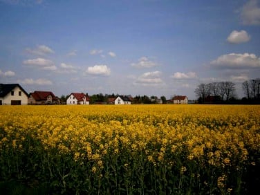 Działka budowlana Błonie