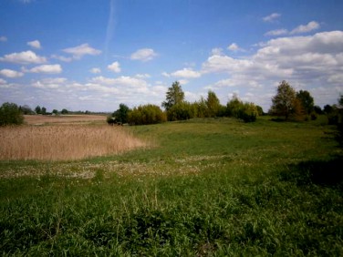 Działka budowlana Błonie