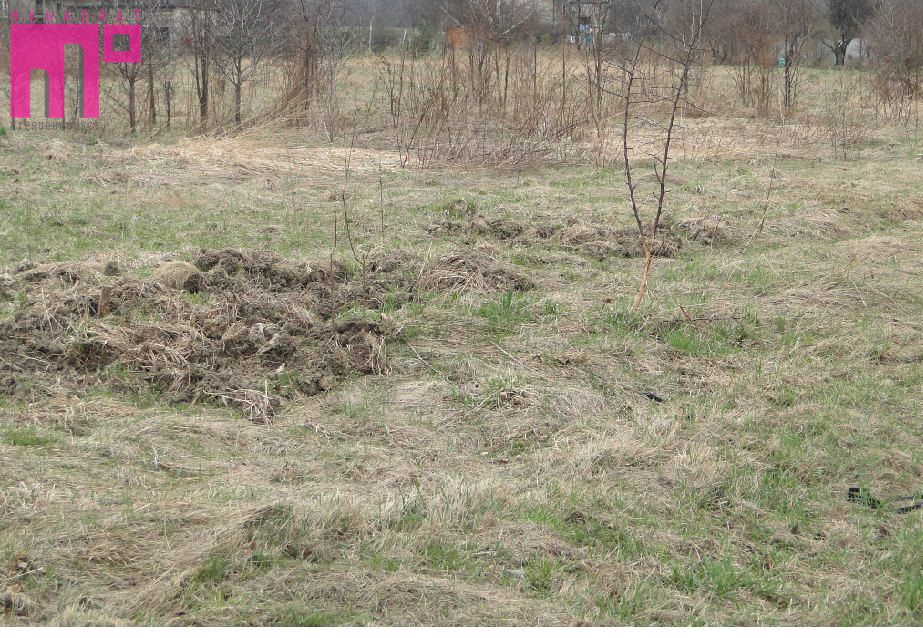 Pusta działka Mikołów