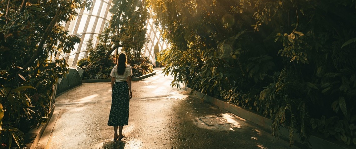 Zdjęcie z artykułu