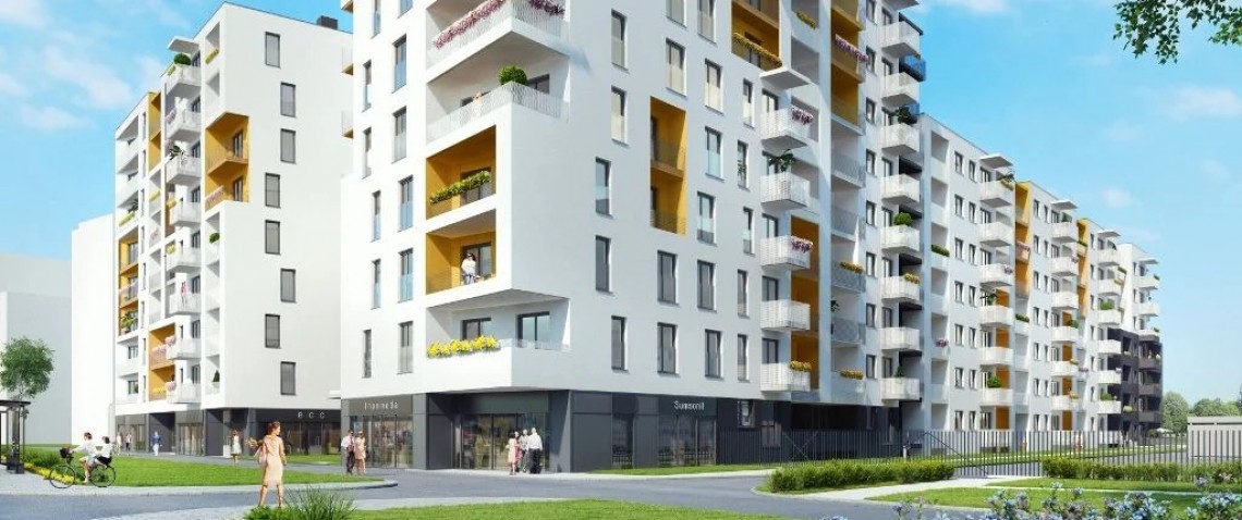 Zdjęcie z artykułu