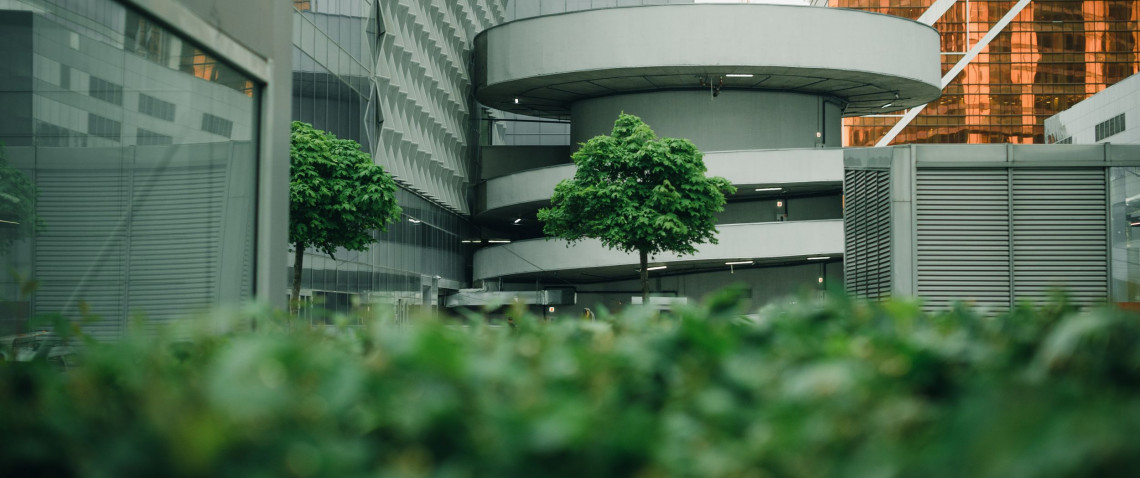 Zdjęcie z artykułu