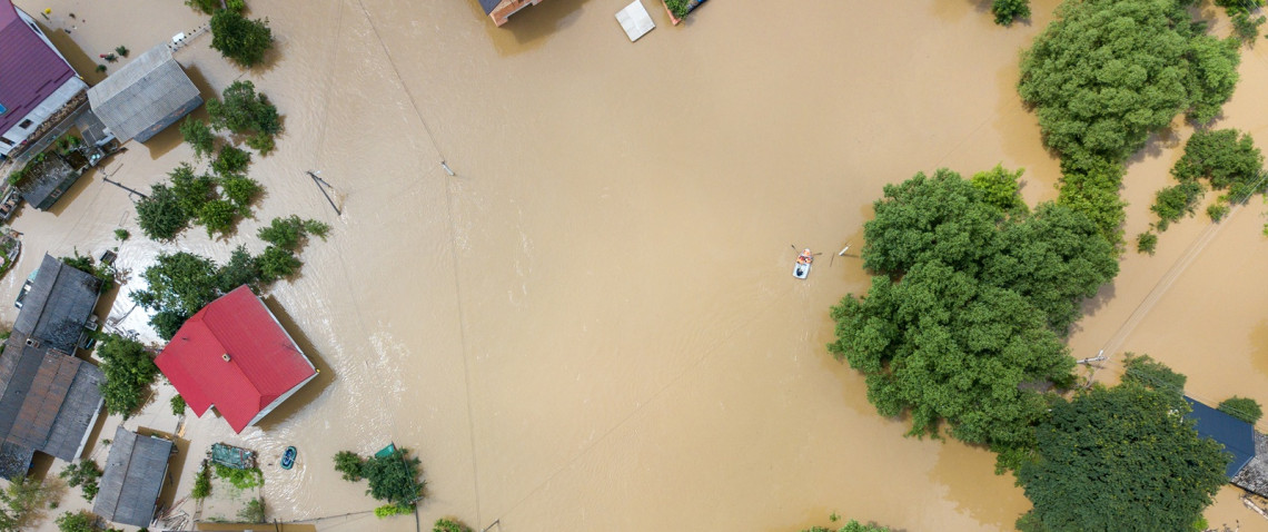 Zdjęcie z artykułu