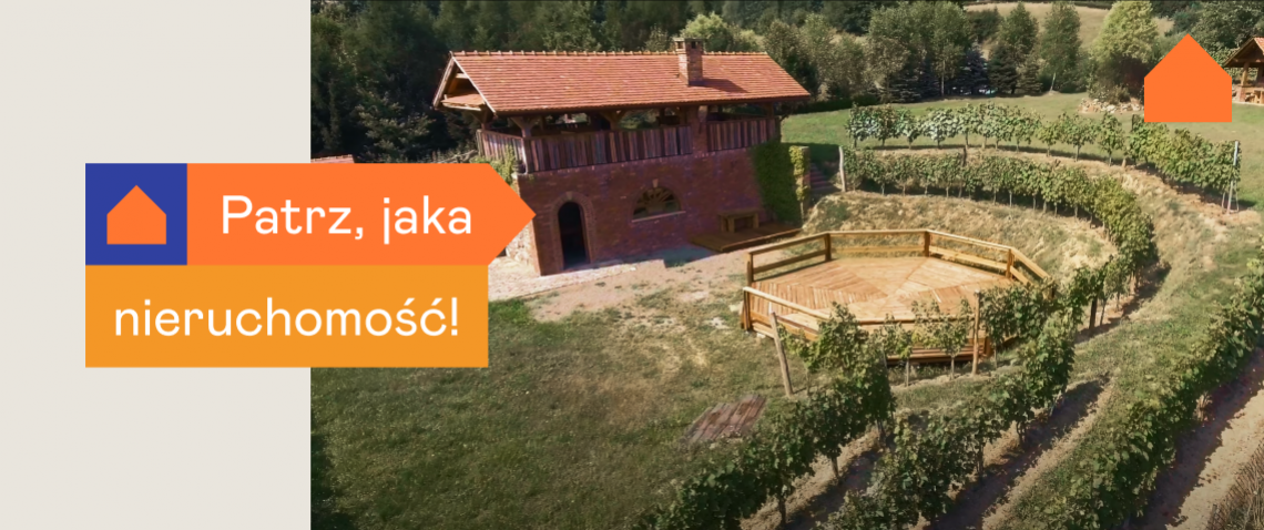 Zdjęcie z artykułu