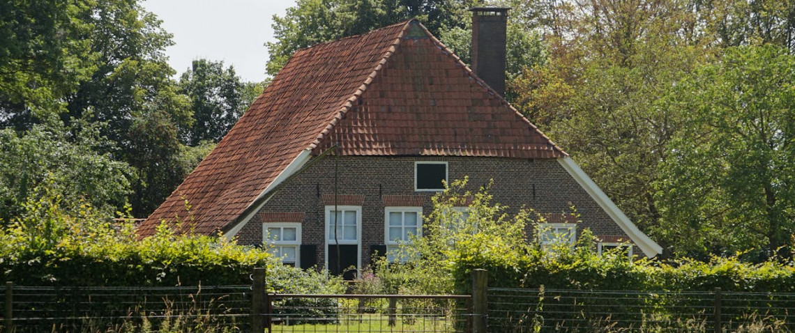 Zdjęcie z artykułu