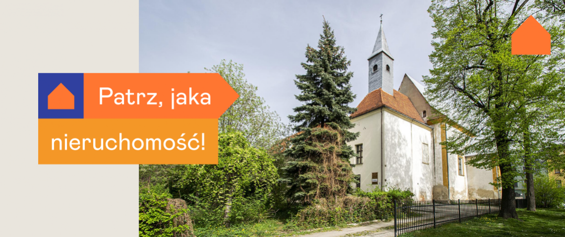 Zdjęcie z artykułu