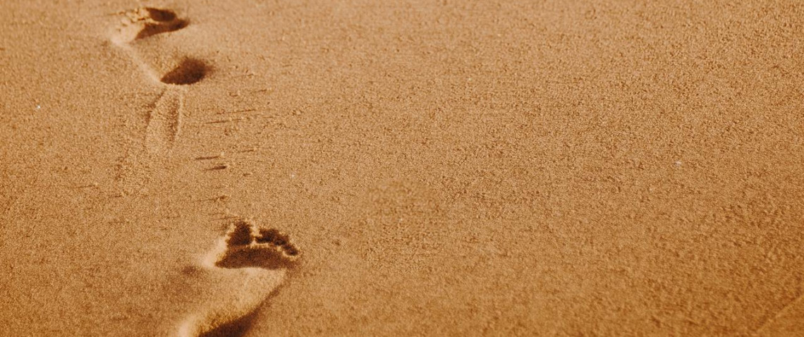 Zdjęcie z artykułu