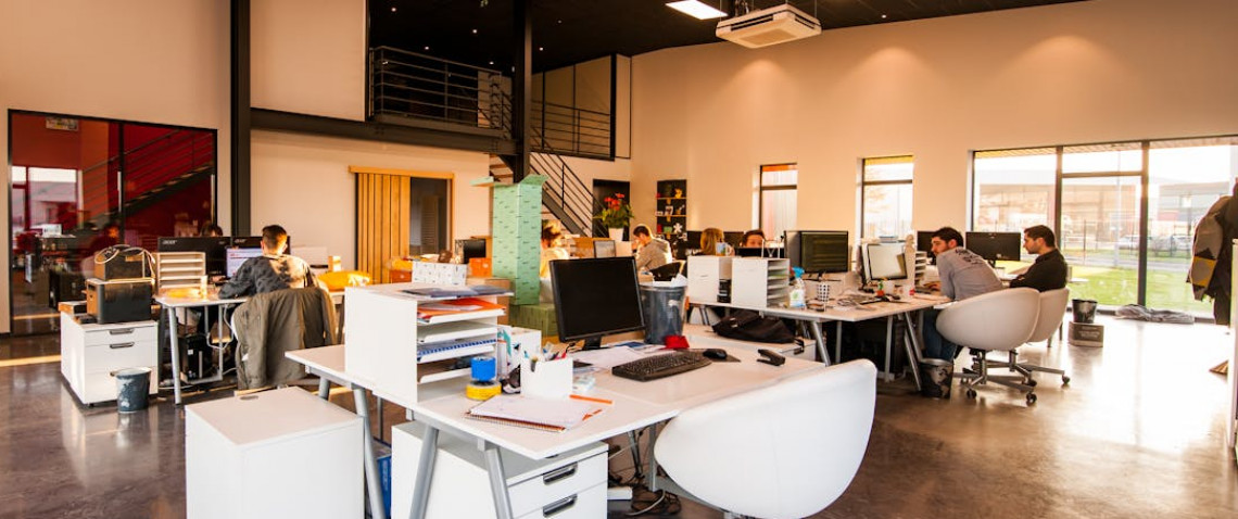 Zdjęcie z artykułu