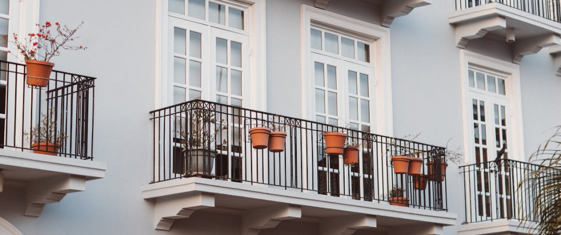 Zdjęcie z artykułu