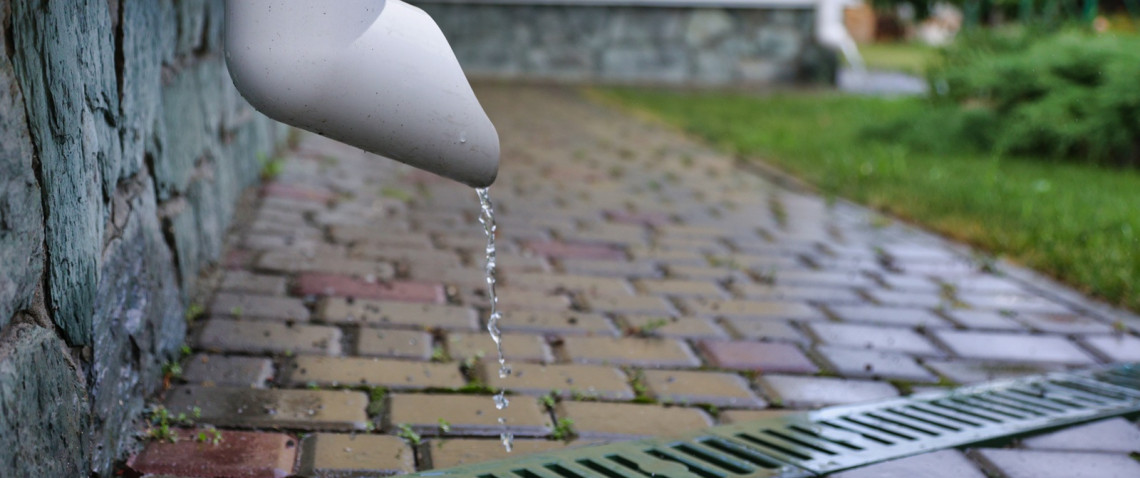 Zdjęcie z artykułu