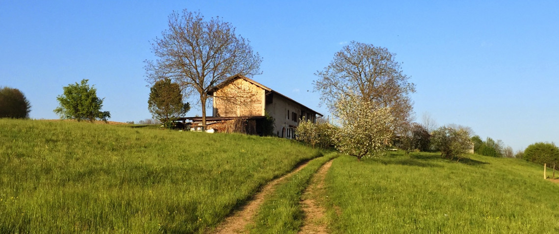 Zdjęcie z artykułu