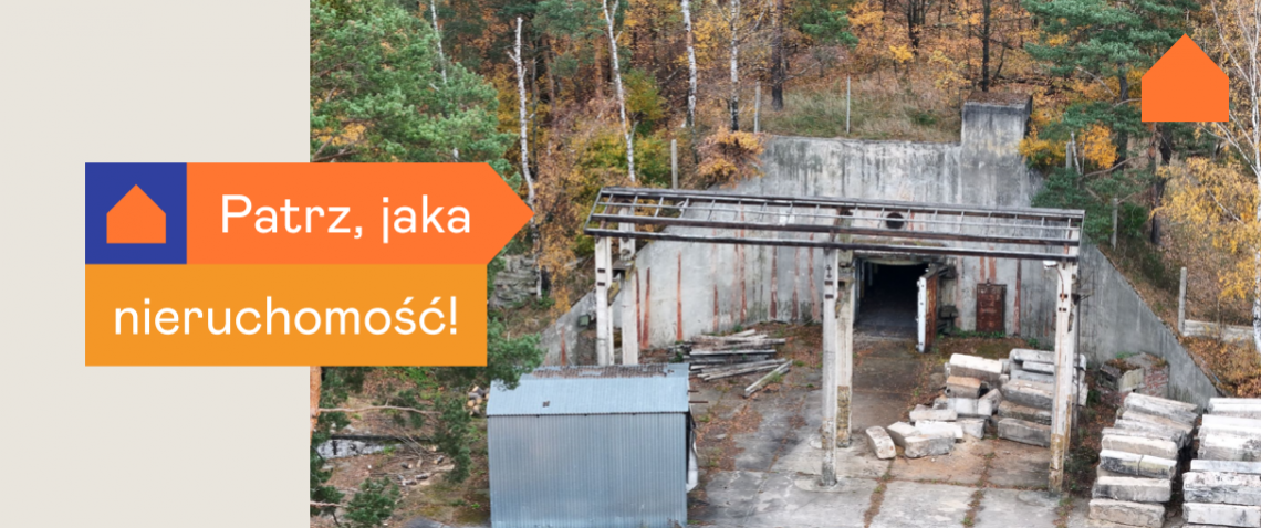 Zdjęcie z artykułu