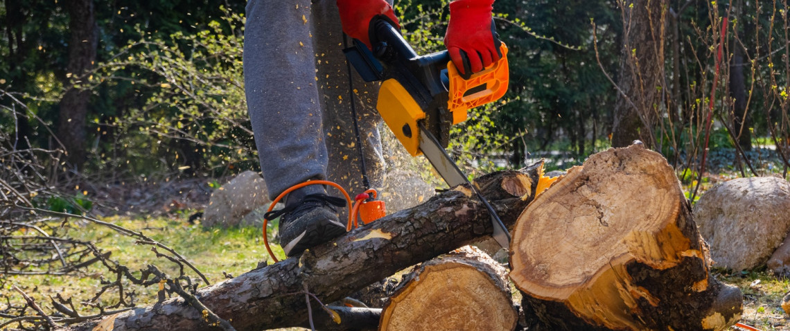 Zdjęcie z artykułu