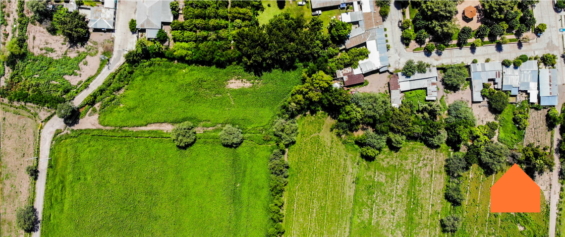 Zdjęcie z artykułu