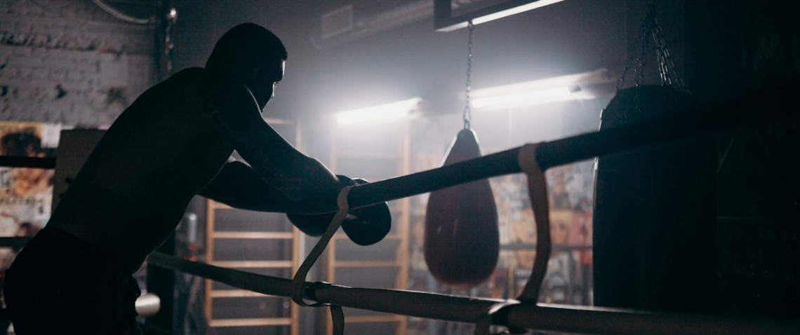 Zdjęcie z artykułu