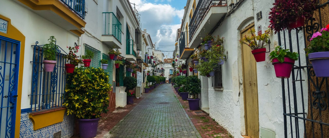 Zdjęcie z artykułu