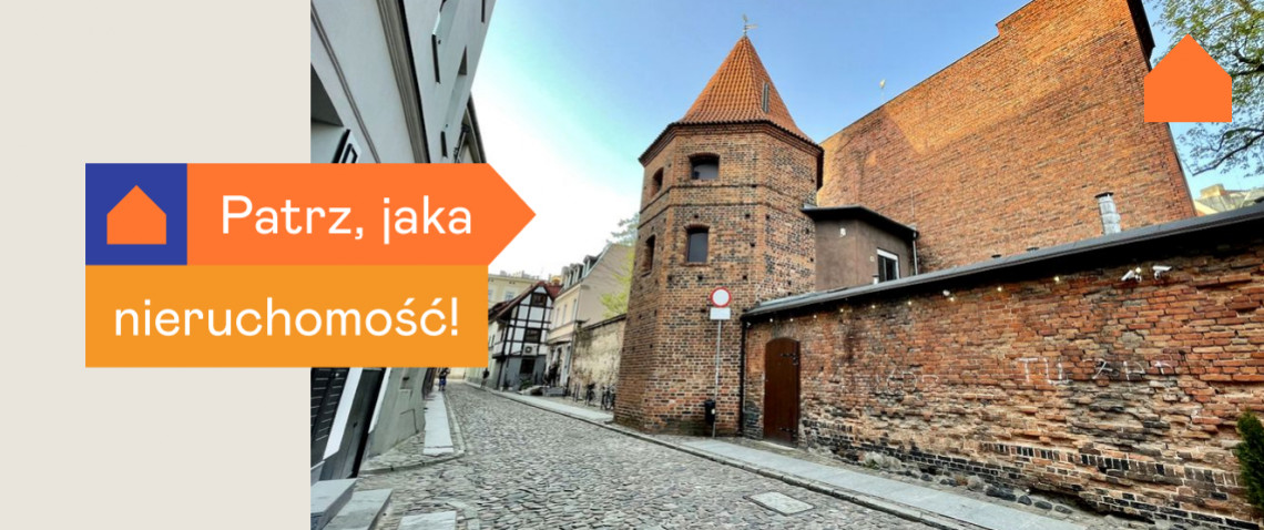 Zdjęcie z artykułu