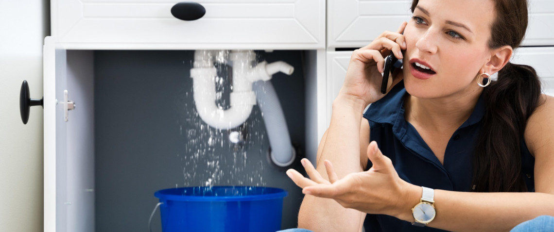 Zdjęcie z artykułu