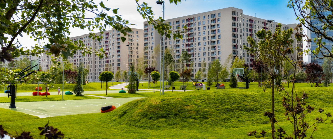 Zdjęcie z artykułu