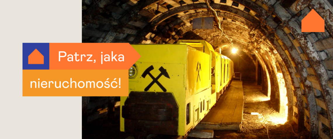 Zdjęcie z artykułu