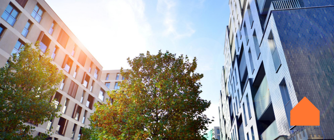 Zdjęcie z artykułu