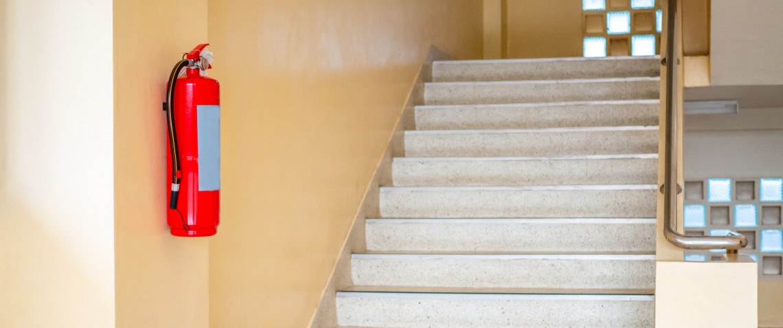 Zdjęcie z artykułu