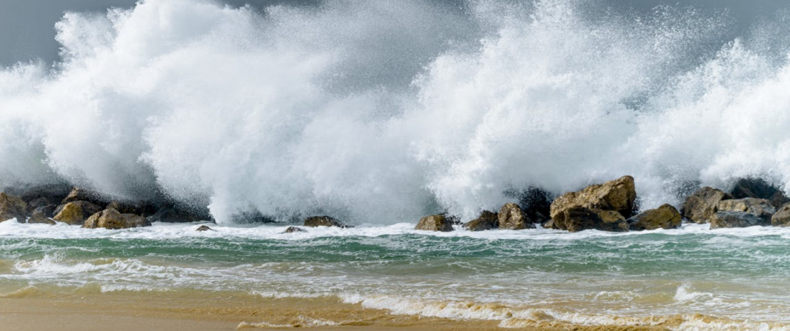 Zdjęcie z artykułu