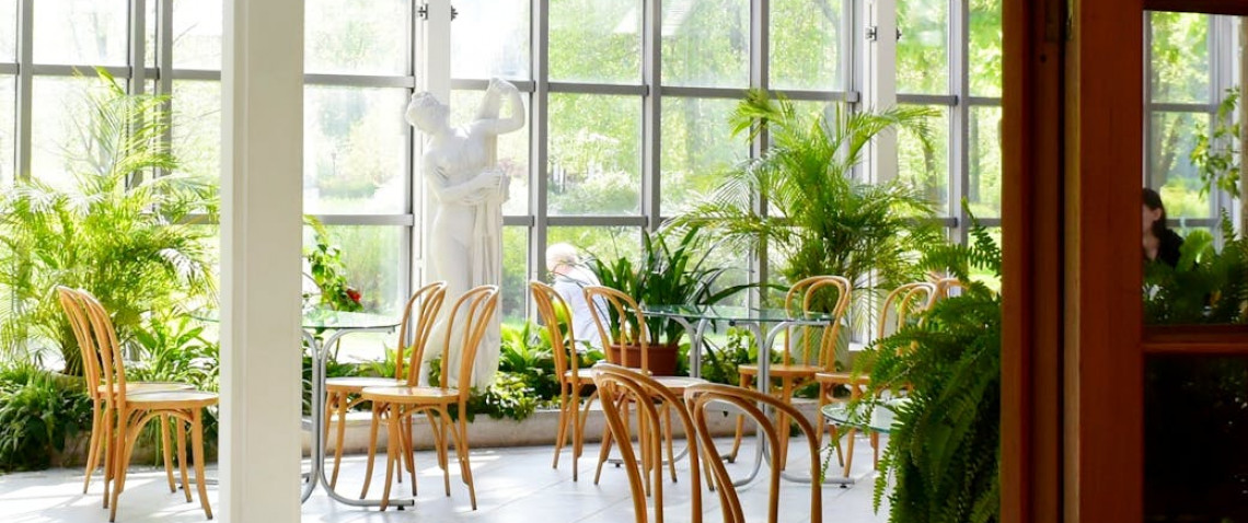 Zdjęcie z artykułu