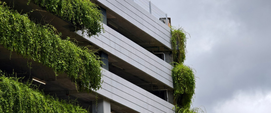 Zdjęcie z artykułu