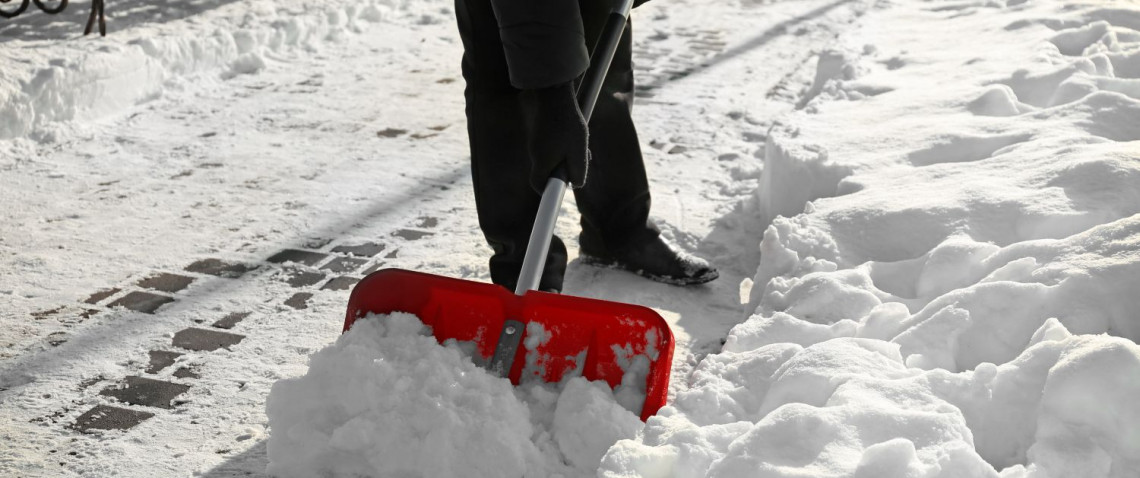 Zdjęcie z artykułu