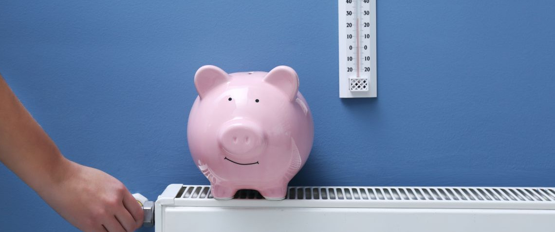 Zdjęcie z artykułu