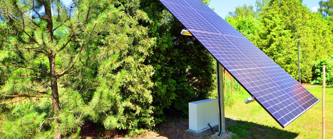 Zdjęcie z artykułu