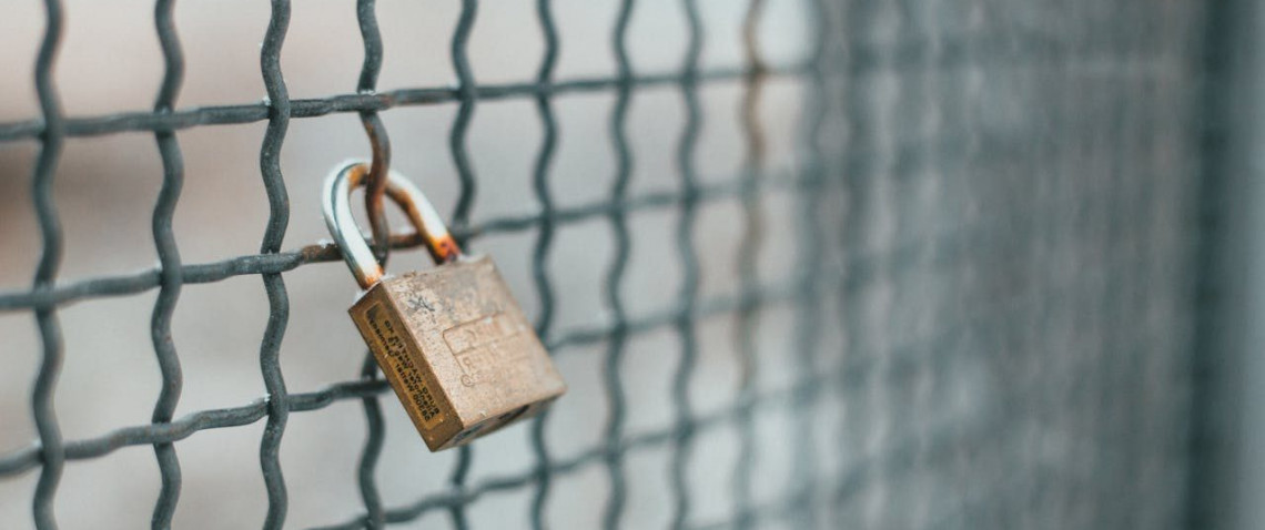 Zdjęcie z artykułu