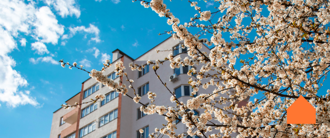 Zdjęcie z artykułu