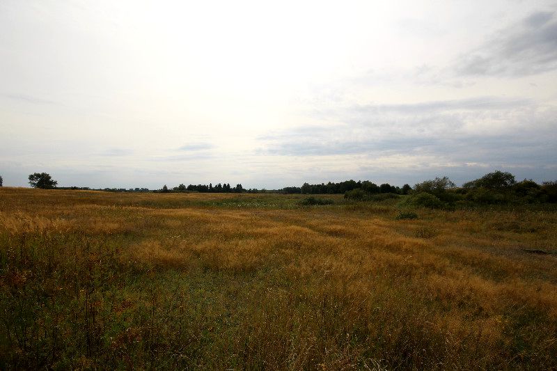 Działka rolna Łobez