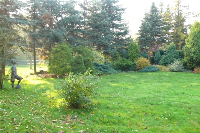 Lokal Kraków
