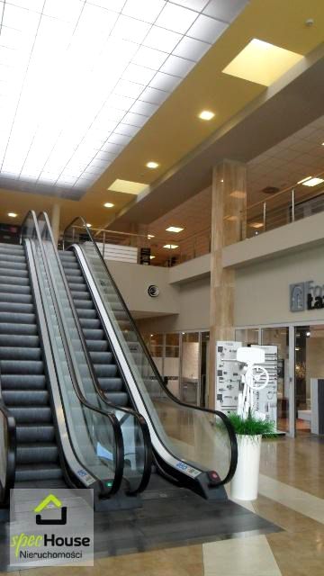 Lokal Poznań