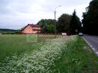 Działka budowlano-rolna Pniewo-Czeruchy