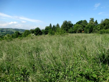 Działka budowlana Sygneczów