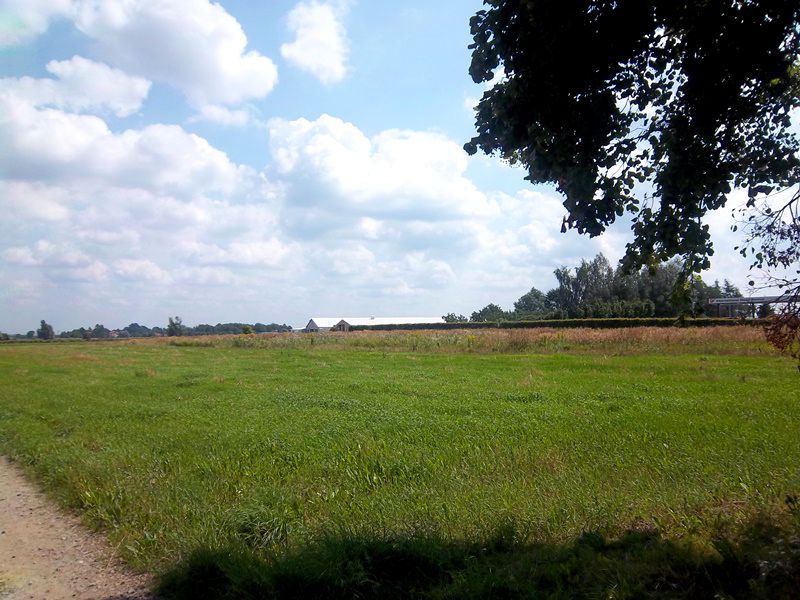 Działka inwestycyjna Duchnice