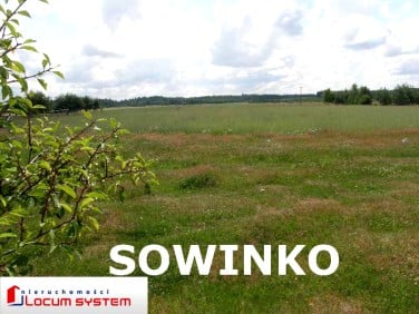 Działka Sowinko