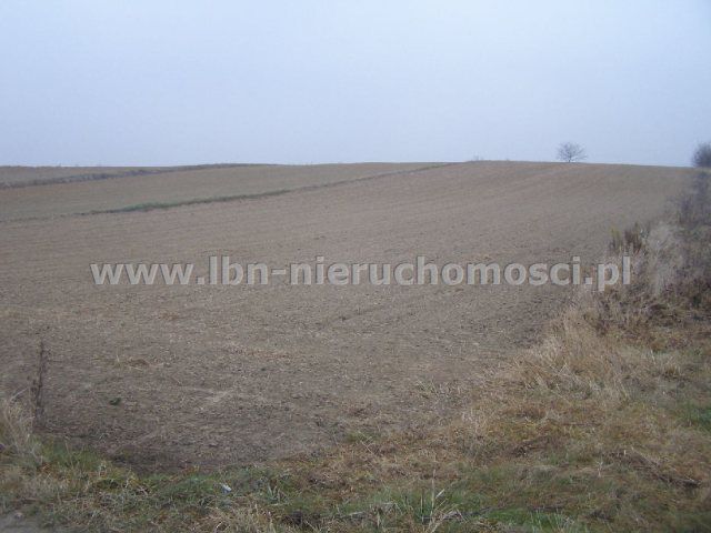 Działka budowlano-rolna Panieńszczyzna