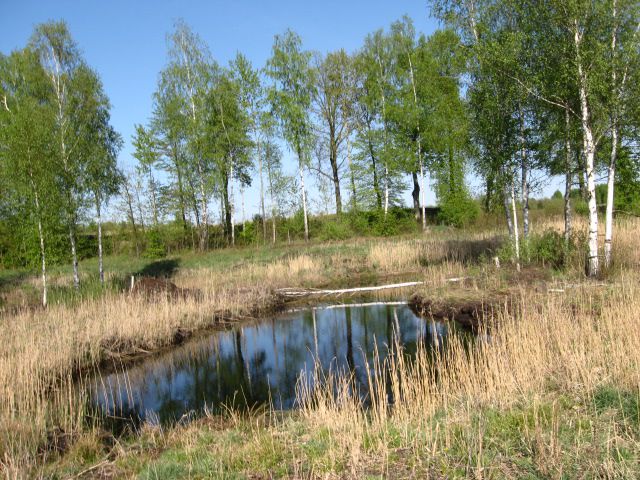 Działka budowlano-rolna Kronowo