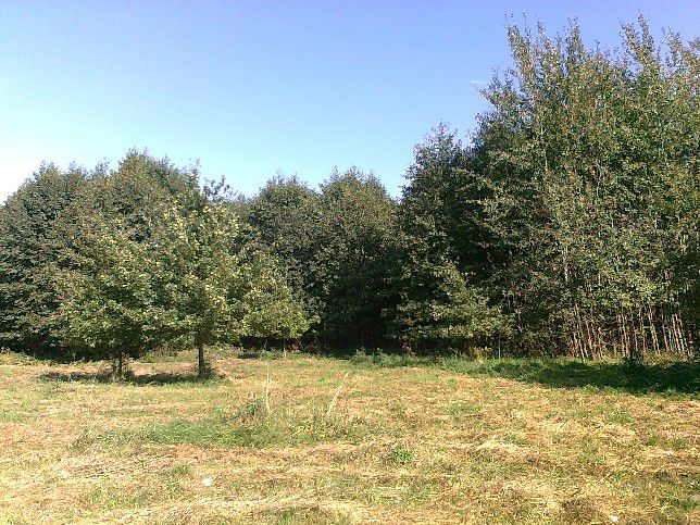 Działka budowlana Grodzisk Mazowiecki